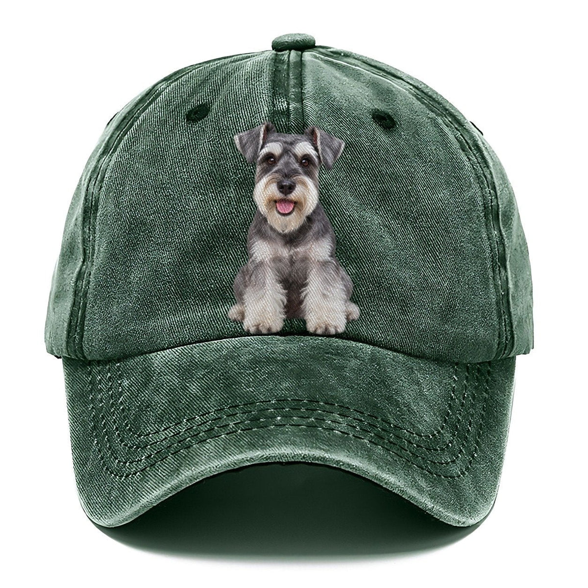 Miniature Schnauzer Sitting Top Breeds Classic Cap