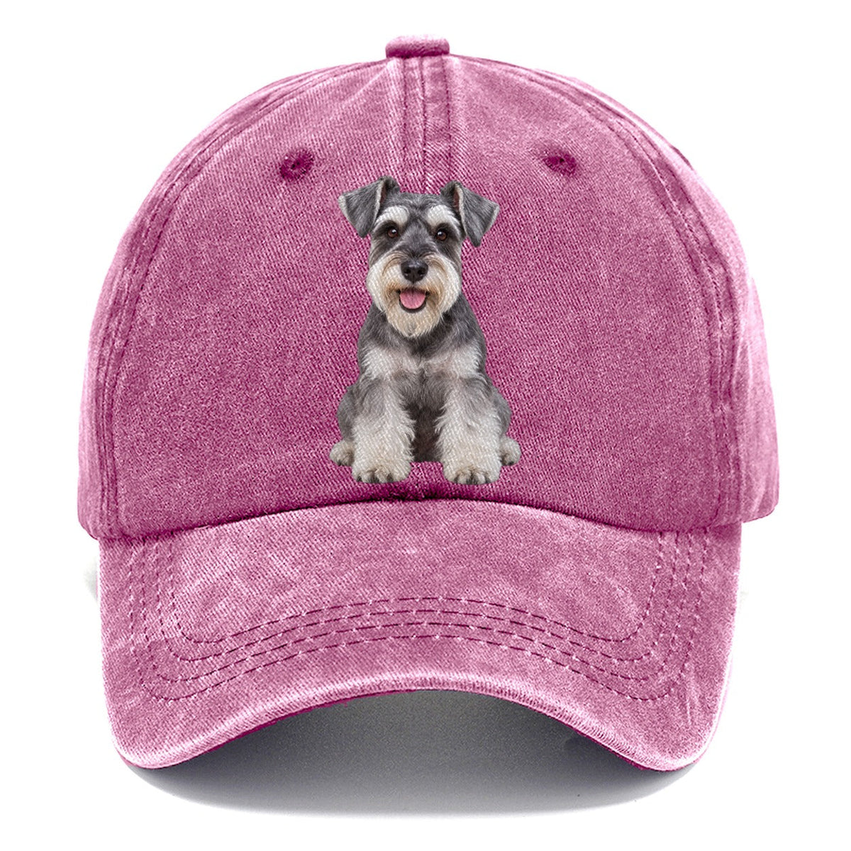 Miniature Schnauzer Sitting Top Breeds Classic Cap